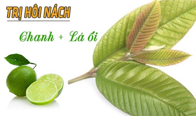 Bột Lá Ổi 100g