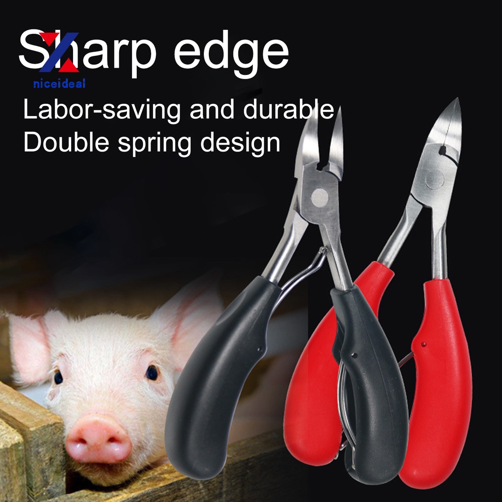 ✲Dụng Cụ Cắt Răng Heo Bằng Thép Không Gỉ