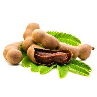 CÂY GIỐNG ME THÁI SIÊU NGỌT [ THỰC SINH SIÊU QUẢ ].