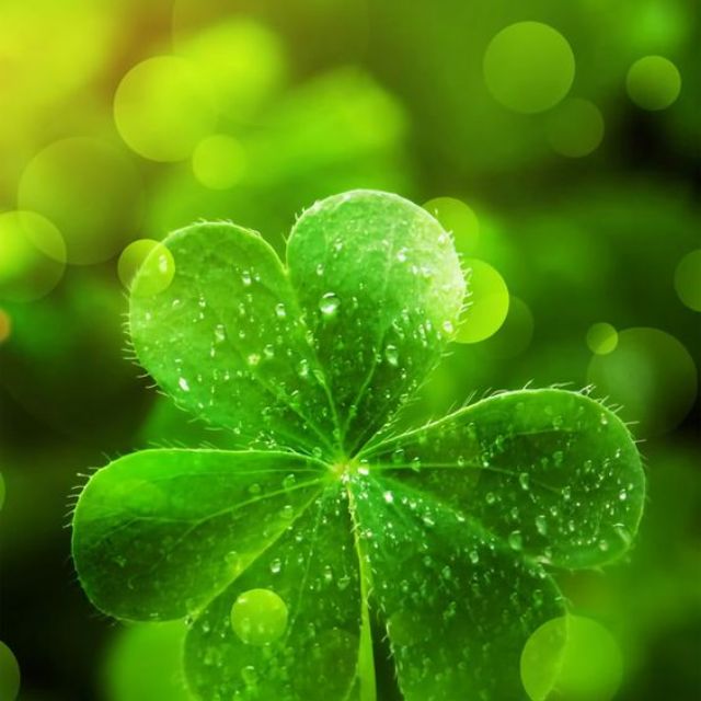 shopthubao, Cửa hàng trực tuyến | BigBuy360 - bigbuy360.vn