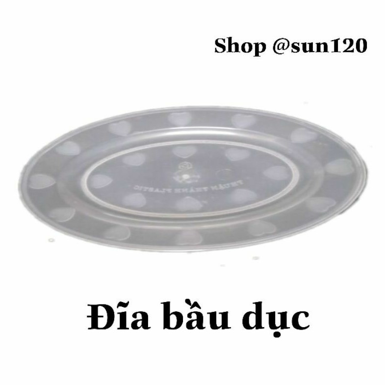 Đĩa nhựa bầu dục oval màu trắng trong đựng cá, hoa quả lễ