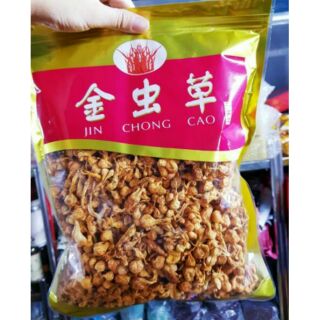 Bông trùng thảo/Kim trùng thảo