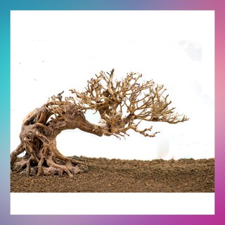 Lũa bonsai dành cho hồ cá cảnh , hồ thủy sinh, văn phòng làm việc