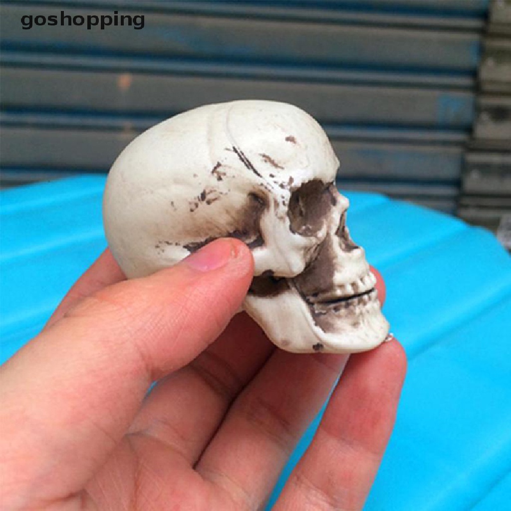 Đồ trang trí Bộ Xương Đầu Lâu Kinh Dị Trang Trí Halloween
