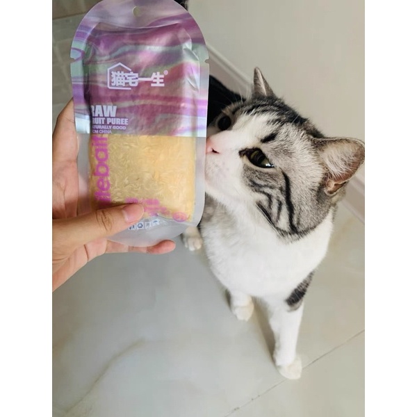 PATE SỐT THỊT TEB! DÒNG MAO DINH DƯỠNG CAO CẤP CHO MÈO [CHÍNH HÃNG]