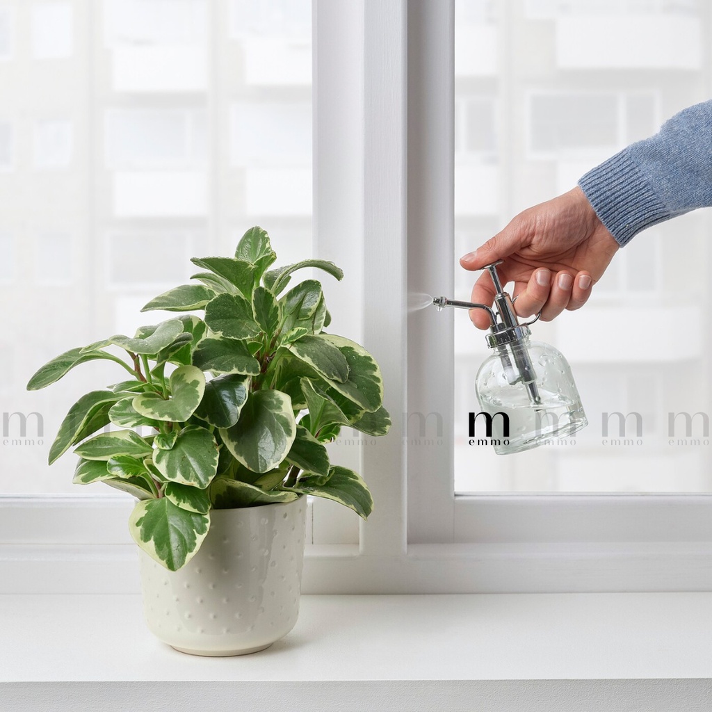 BÌNH XỊT PHUN SƯƠNG THỦY TINH CAO CẤP/ BÌNH XỊT TƯỚI CÂY IKA CHÍNH HÃNG  - SESAMFRON
