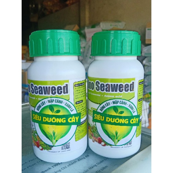 Bón là siêu dưỡng cây - mập tốt xanh non Amino
