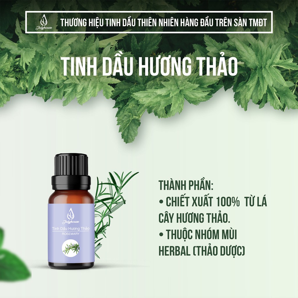 Tinh dầu Hương Thảo 10ml JULYHOUSE