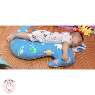 GỐI CÁ NGỰA - GỐI ÔM HAPISO