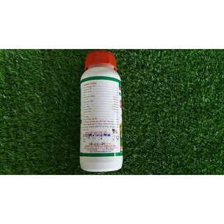 SIÊU TO CỦ APOLLO