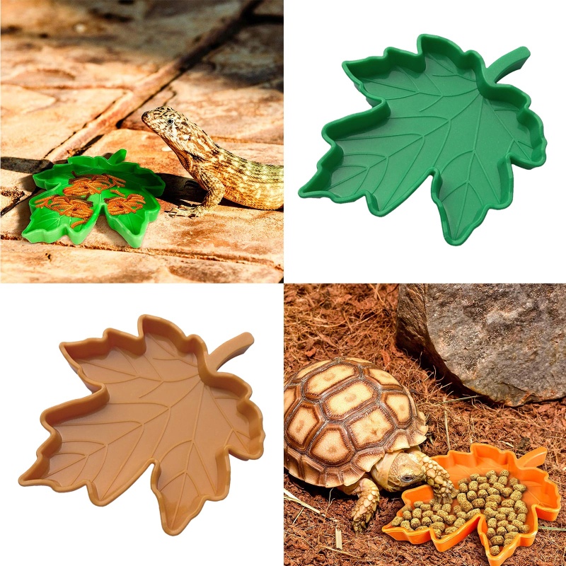 Bát Ăn Bằng Nhựa Dùng Trang Trí Bể Nuôi Bò Sát