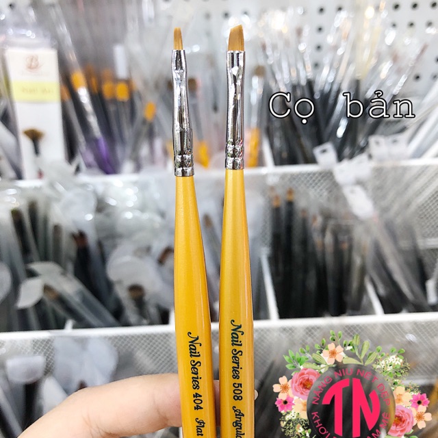 Cọ bản vẽ móng