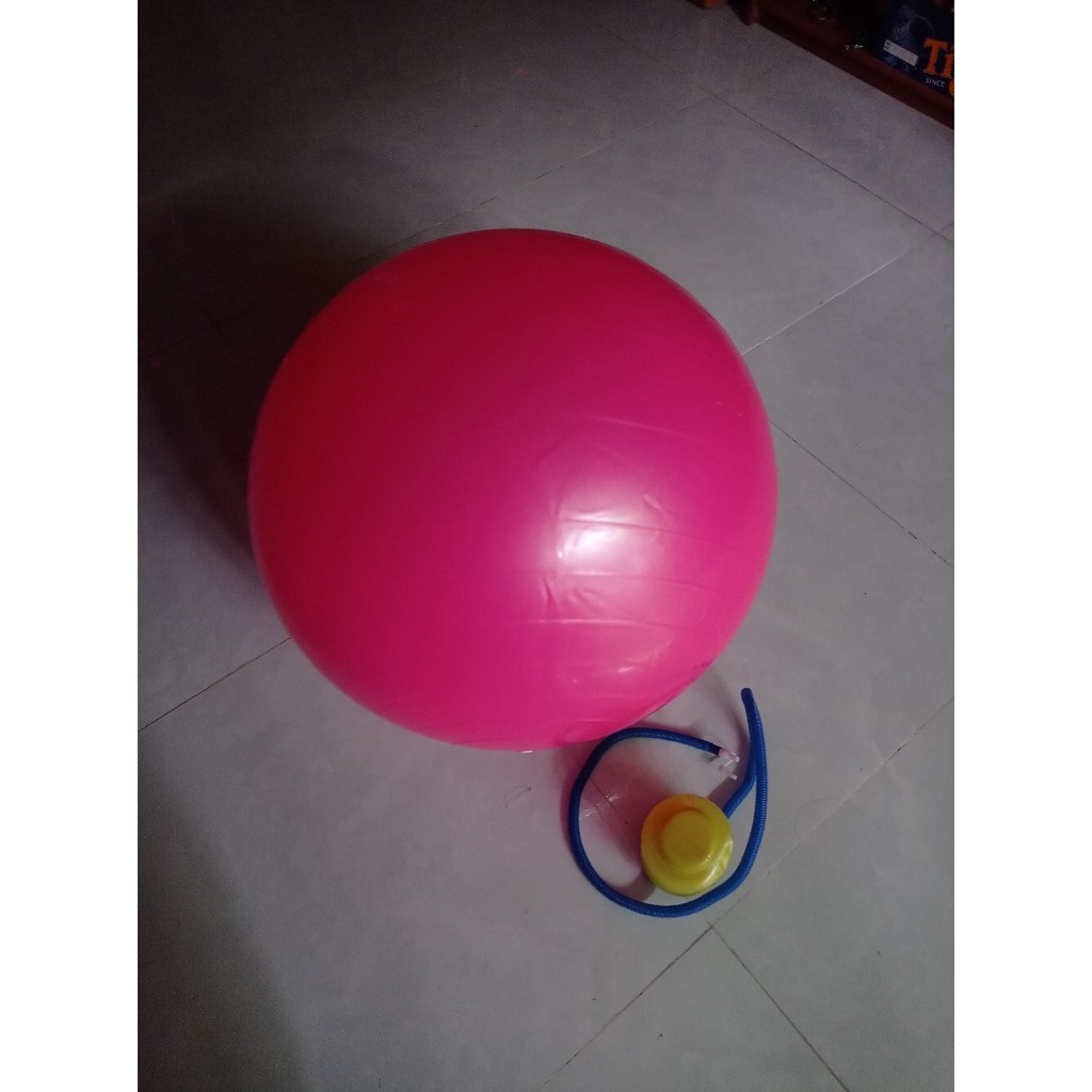 professionall.gym19Bóng tập Yoga/Gym trơn Size 65cm, Khách chọn màu + Tặng bơm bóng dự phòng