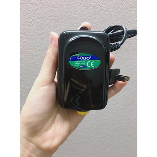 Sủi oxi cho hồ cá