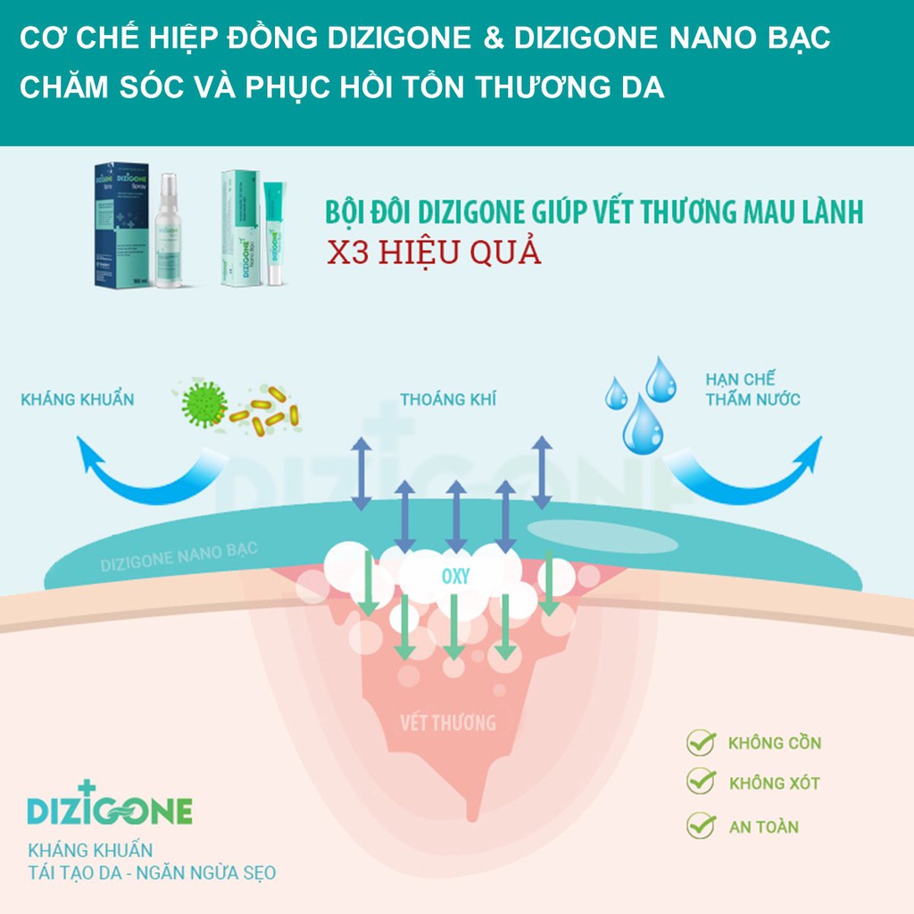 Bộ đôi Dizigone Spray 100ml và Dizigone nano bạc 25g bạc Kháng khuẩn lành vết thương tái tạo da ngăn ngừa sẹo