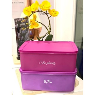 1 hộp đông dẻo size đại 5,7L tup malay oder