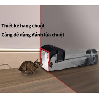 HỘP BẨY CHUỘT THÔNG MINH
