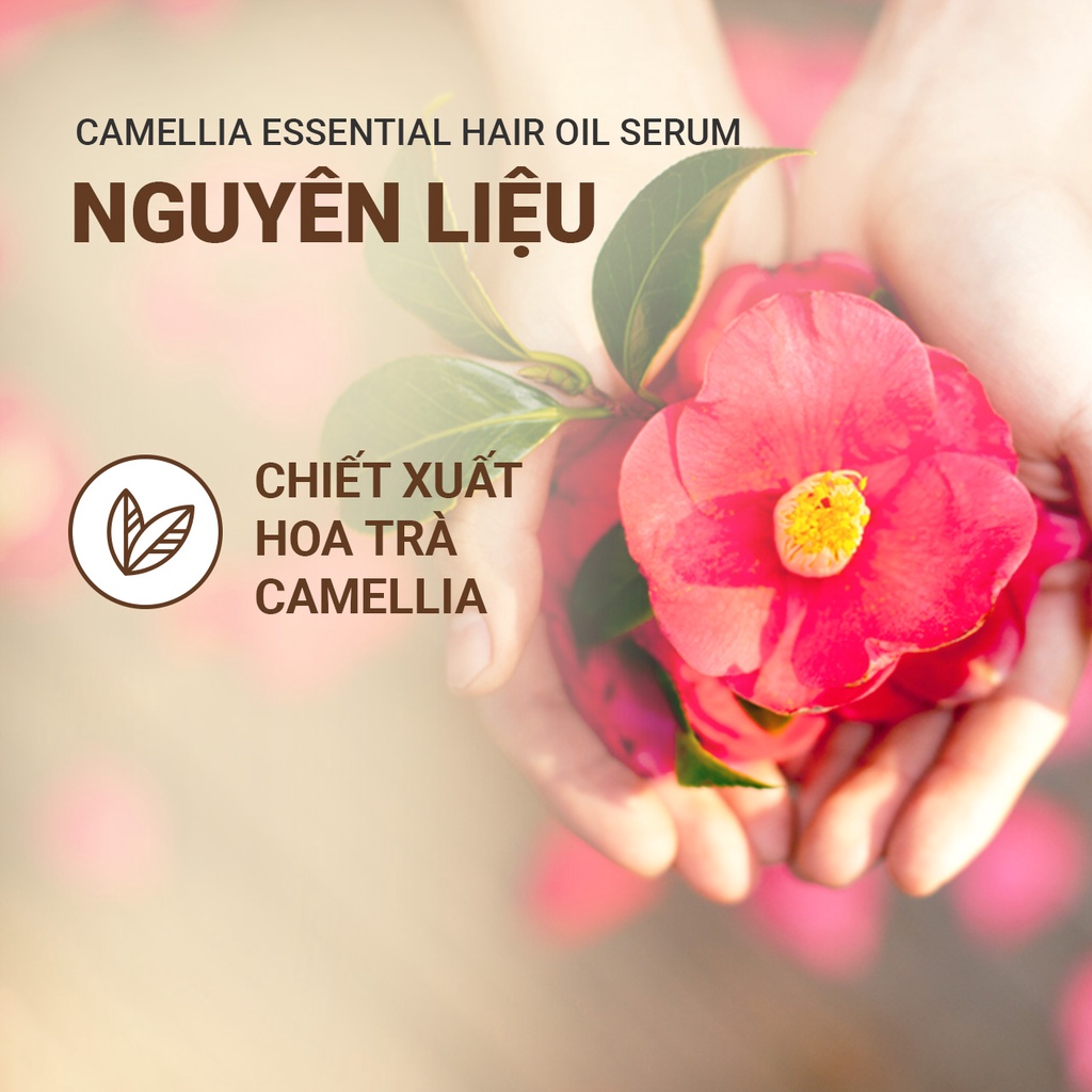 [Mã COSIF03 giảm 10% đơn 400K] Bộ sản phẩm dưỡng tóc hoa trà innisfree Camellia Essential Hair Care Set