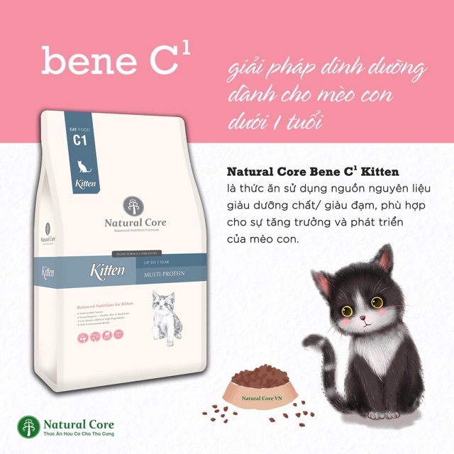 5kg THỨC ĂN NATURAL CORE C1 BENE KITTEN CHO MÈO CON là giải pháp dinh dưỡng hoàn chỉnh dành cho mèo con.