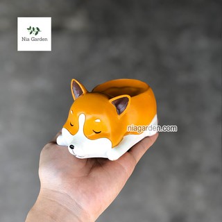 Chậu chó Husky trồng xương rồng, cây cảnh - CTK