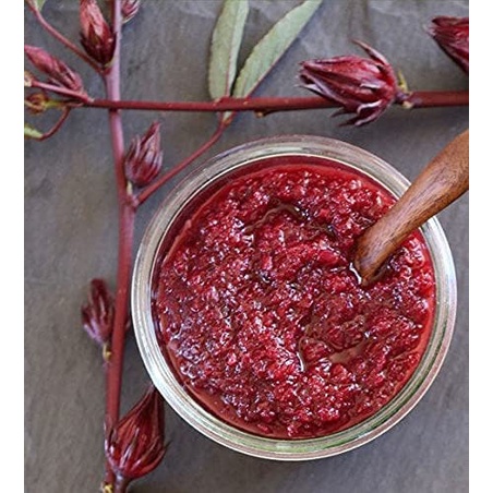 Hạt giống dâm bụt đỏ Roselle - Gói Hibiscus sabdariffa Miến Điện Chin Baung Jamaica