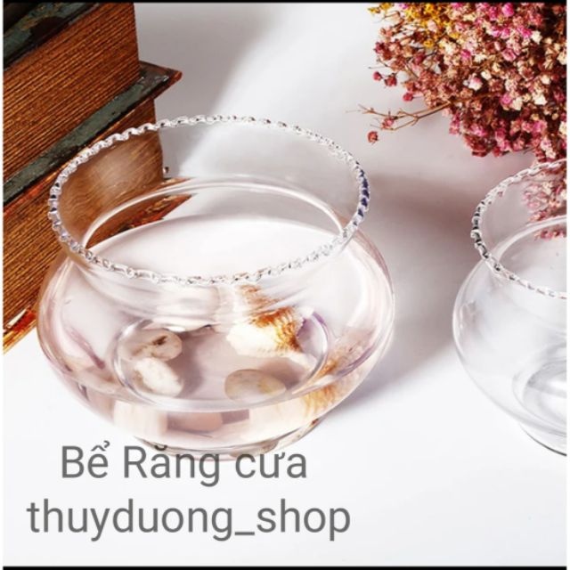 Bể cá thủy tinh mini để bàn