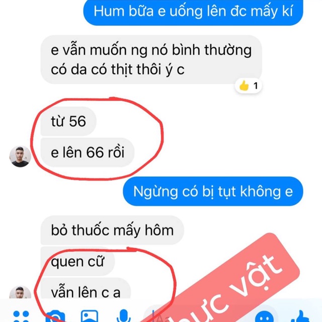 Trà tăng cân vita thực vật flus