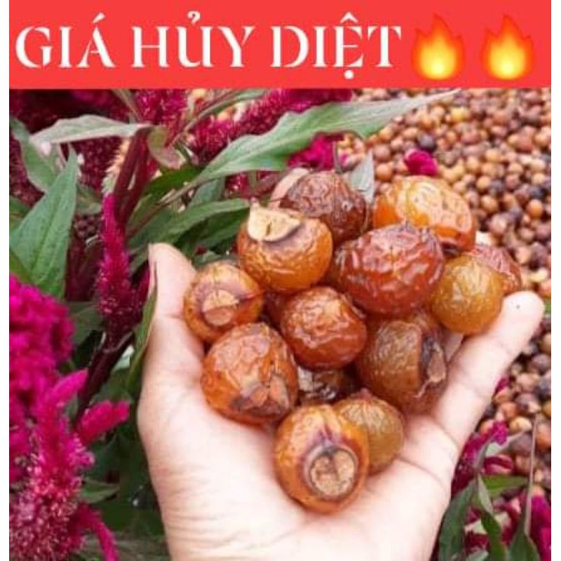 BỒ HÒN TÁCH HẠT LOẠI 1. 1KG_KHUYẾN MÃI LỚN