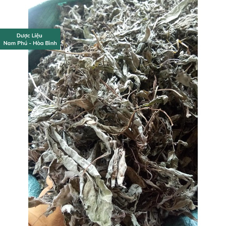 1KG Hương Nhu dược liệu giá sỉ thơm khô sạch