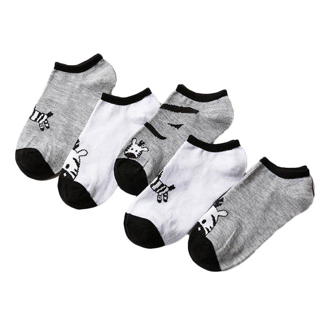 [Set Tất Vớ Nữ 5 Đôi] Tất Vớ Nữ Thun Cotton Con Lừa Buta TN02