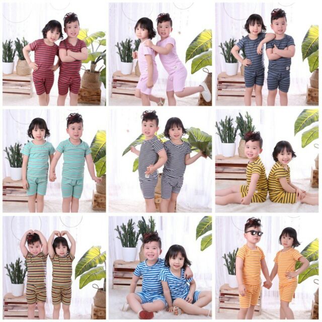 Sĩ bộ sọc