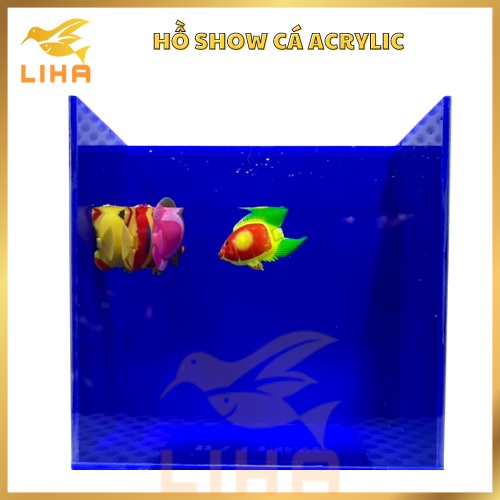 Hồ Show Cá Chất liệu Acrylic - Keo Show/Bể Show Cá Betta Guppy