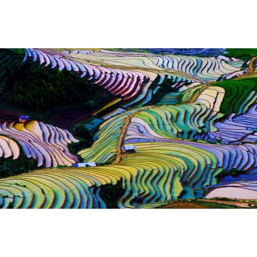 Tranh dán tường tổng hợp địa danh Việt Nam Miễn Phí chèn tên riêng Quán, chèn chữ và logo theo yêu cầu.