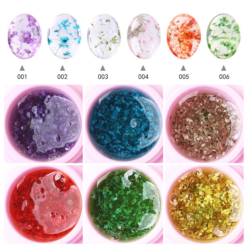 Gel sơn móng tay UV dung tích 8ml kiểu hoa khô tự nhiên