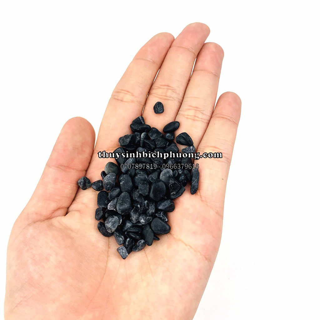 SỎI ĐEN PLATINUM TRẢI NỀN TRANG TRÍ HỒ CÁ THỦY SINH