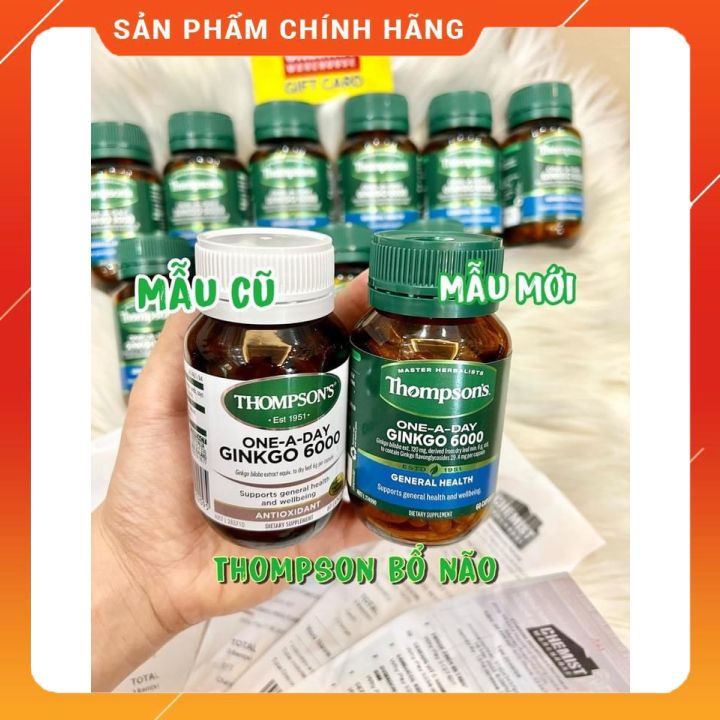 Thompson Ginkgo 6000, bổ não và tuần hoàn não Thompson