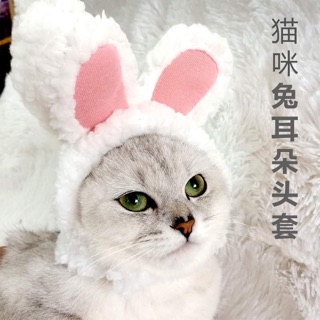 Mũ tai thỏ cho thú cưng ❤️