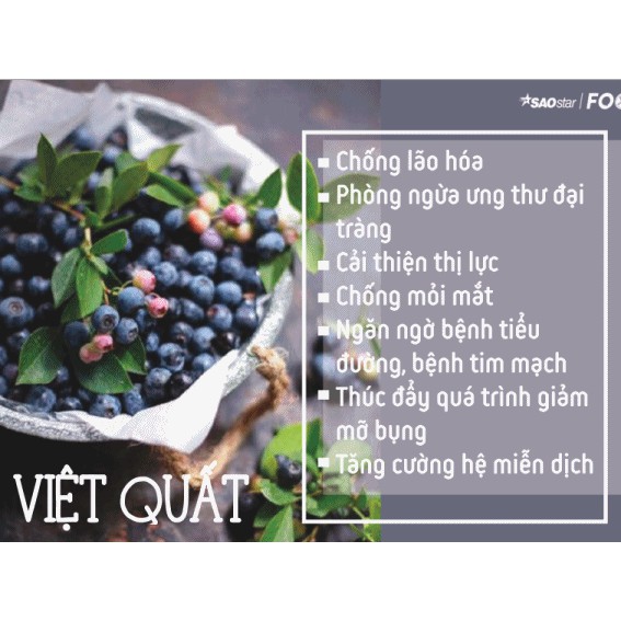 Việt Quất [FREESHIP] Quả Việt Quất Sấy Khô Canada (120g)