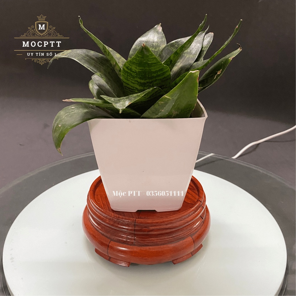 Đế Bát Hương , Đế Tượng , Đôn nhỏ gỗ Hương Ta Cao 6cm trang trí phòng khách , phòng làm việc , phòng thờ