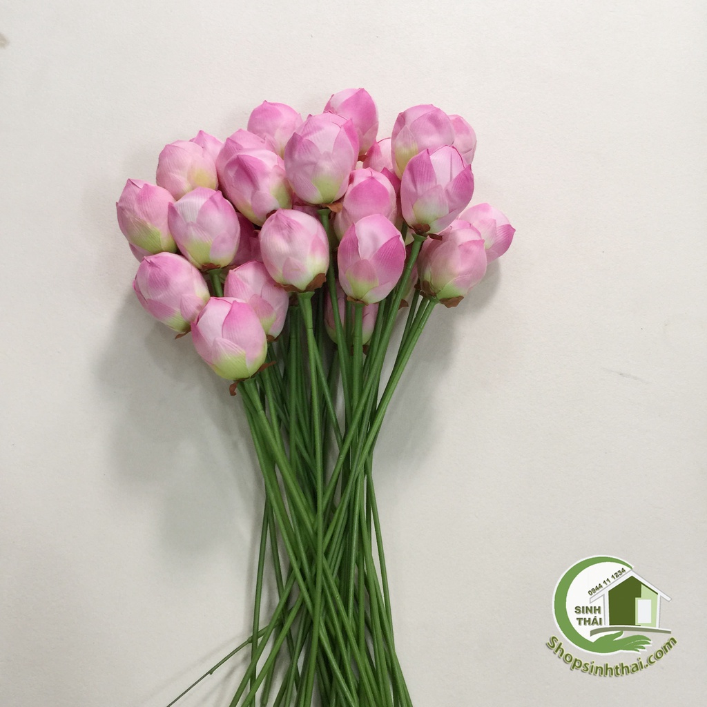 Cành nụ hoa sen giả màu hồng, trắng, hoa sen nở màu hồng - cành sen vải lụa cao cấp - Chọn loại
