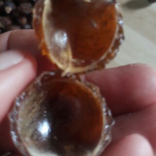 BỒ HÒN LOẠI 1
