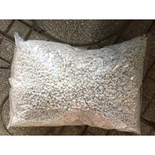 [1-2kg] Đá Perlite, Đá Trân Châu, Bọt Đá Perlite Trồng Sen Đá (Giá Thể Trộn Minh Họa)