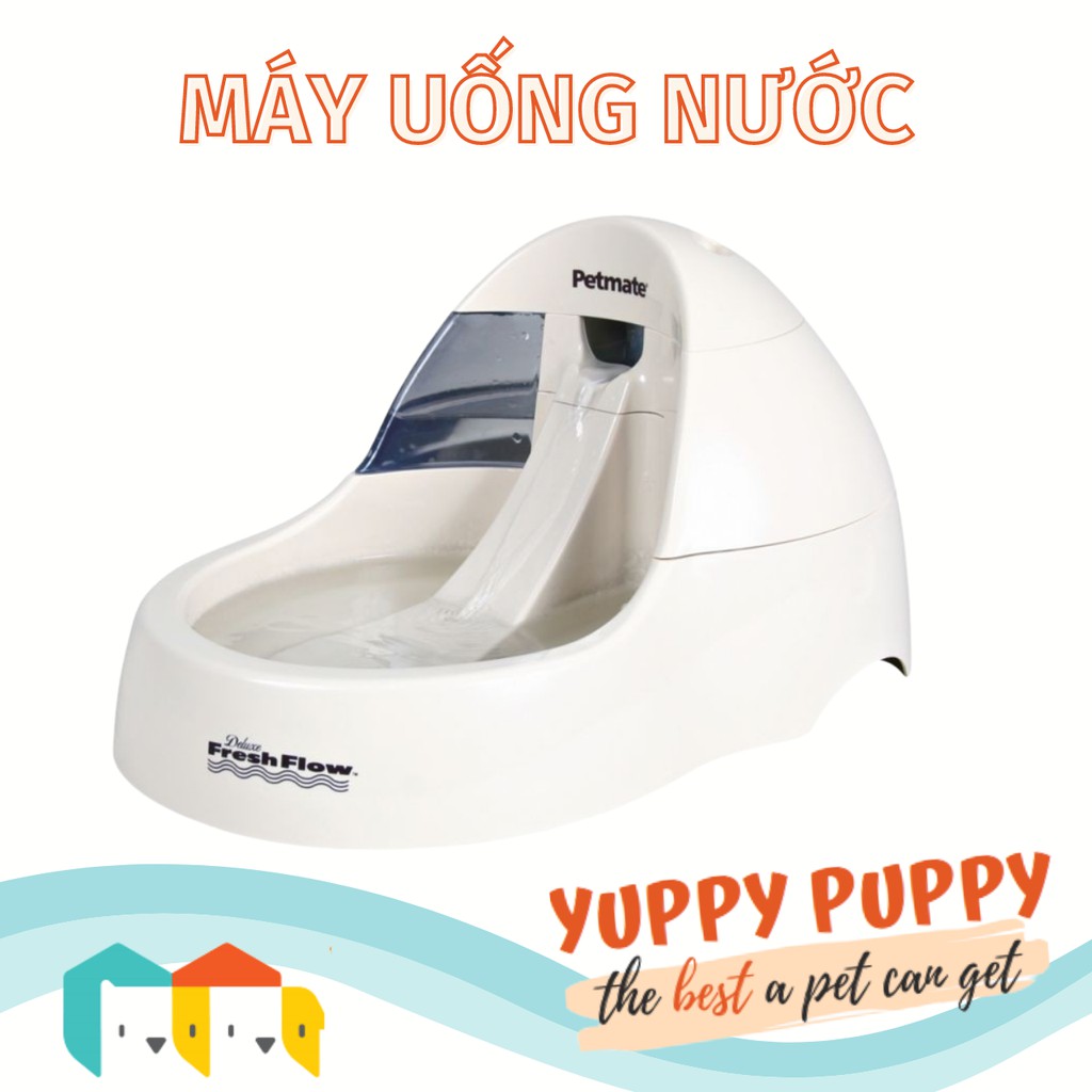 Petmate Máy lọc thác nước cho thú cưng / Water fountain