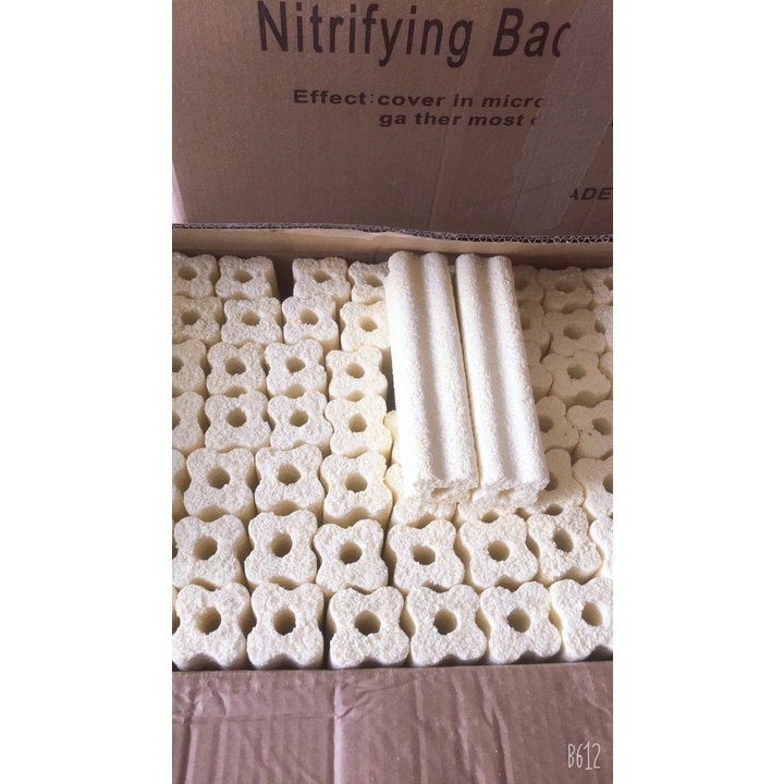 Sứ thanh hoa mai lọc nước hồ koi combo 20-30-40-50thanh.