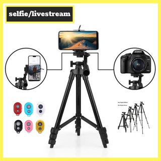 Chân đế chụp ảnh, quay video, Tripod 3120A tặng kèm đầu kẹp điện thoại