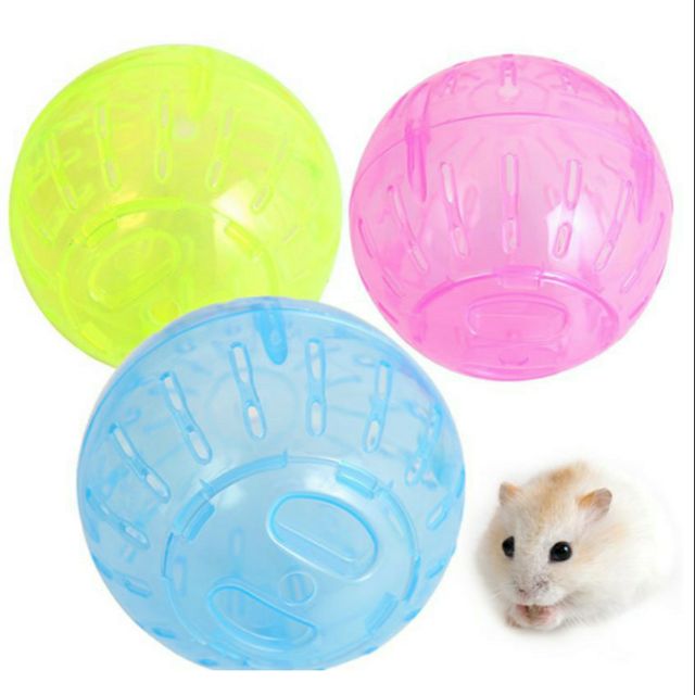 Bóng chạy nhựa10cm/12cm cho Hamster