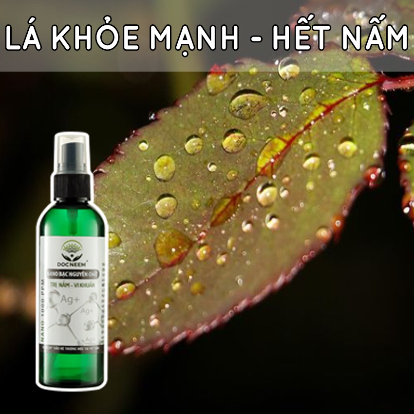 Nano bạc DOCNEEM phòng và trị vi khuẩn, nấm bệnh cho cây, hoa lan, hoa hồng, rau, thủy sản, Hàng chính hãng 100ml