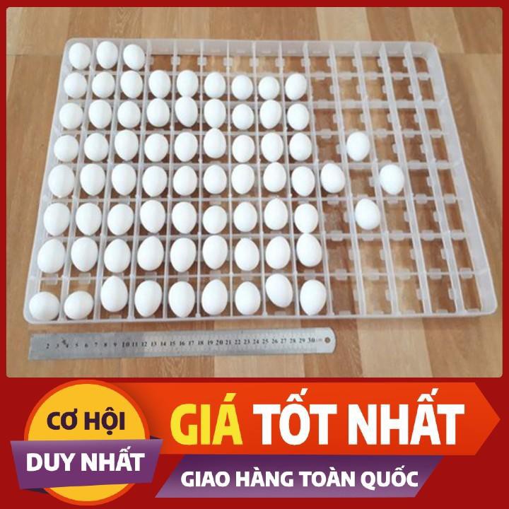 KHAY ẤP TRỨNG-KHAY ĐỰNG TRỨNG-KHAY NHỰA ĐỰNG TRỨNG-KHAY MÁY ẤP TRỨNG CHIM BỒ CÂU