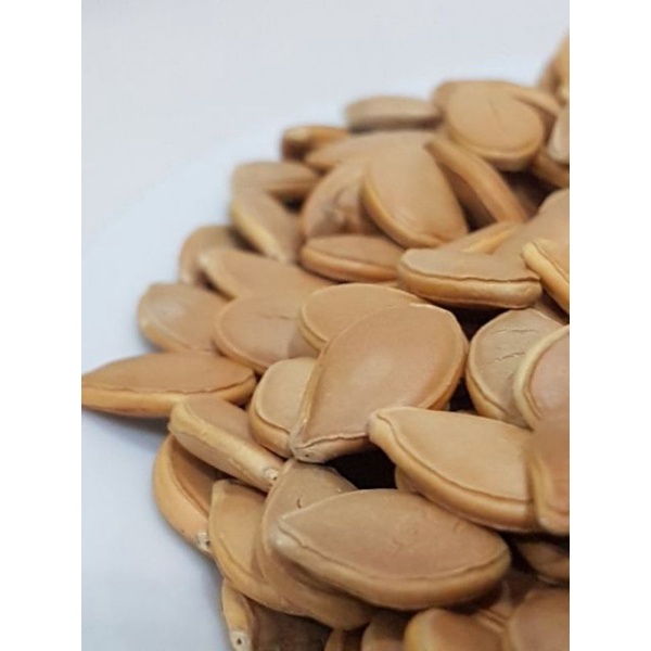 Hạt bí nhật trồng tại Đà Lạt.