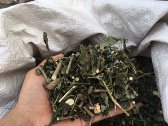 1KG CÂY ĐUÔI CHUỘT HOÀ BÌNH